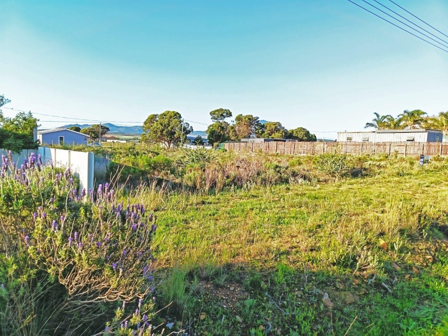 0 Bedroom Property for Sale in Fisherhaven Western Cape